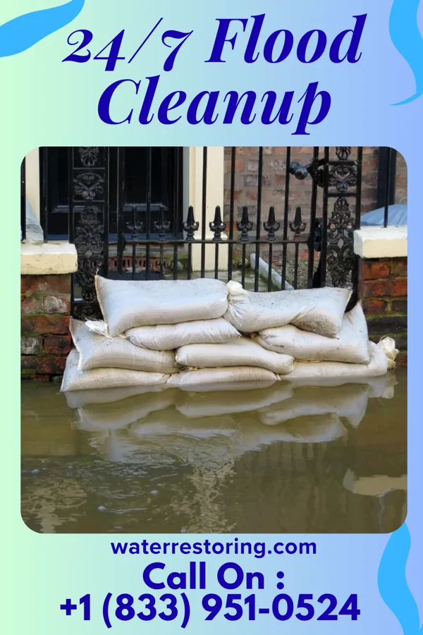24/7 Flood Cleanup in Pemberville, OH
