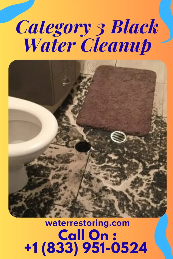 Category 3 Black Water Cleanup in Pemberville, OH