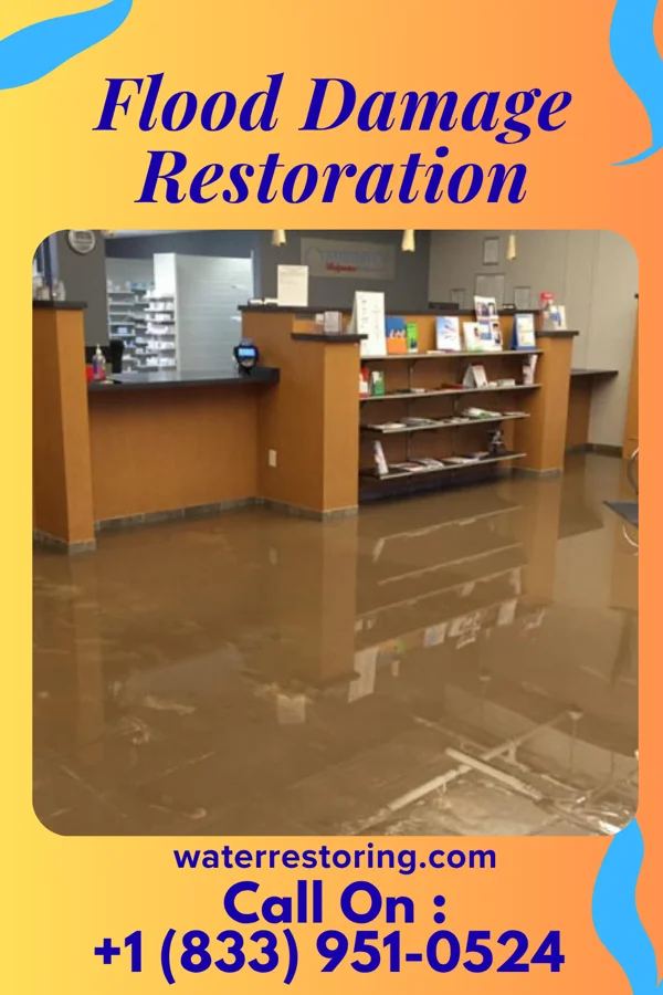 Flood Damage Restoration in Pemberville, OH